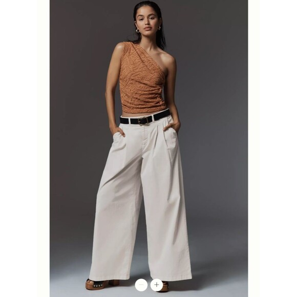 Anthropologie Pants - By Anthropologie Low-Rise Pleated Wide-Leg Trousers